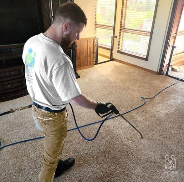 Carpet Cleaning Spokane Wa Live Clean Today