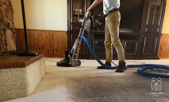 Carpet Cleaning Spokane Wa Live Clean Today