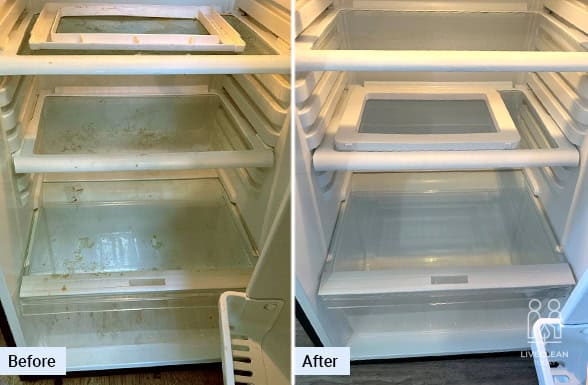 Areas Are Covered When Deep Cleaning