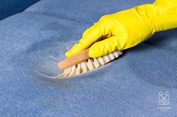 Our Upholstery Cleaning Services