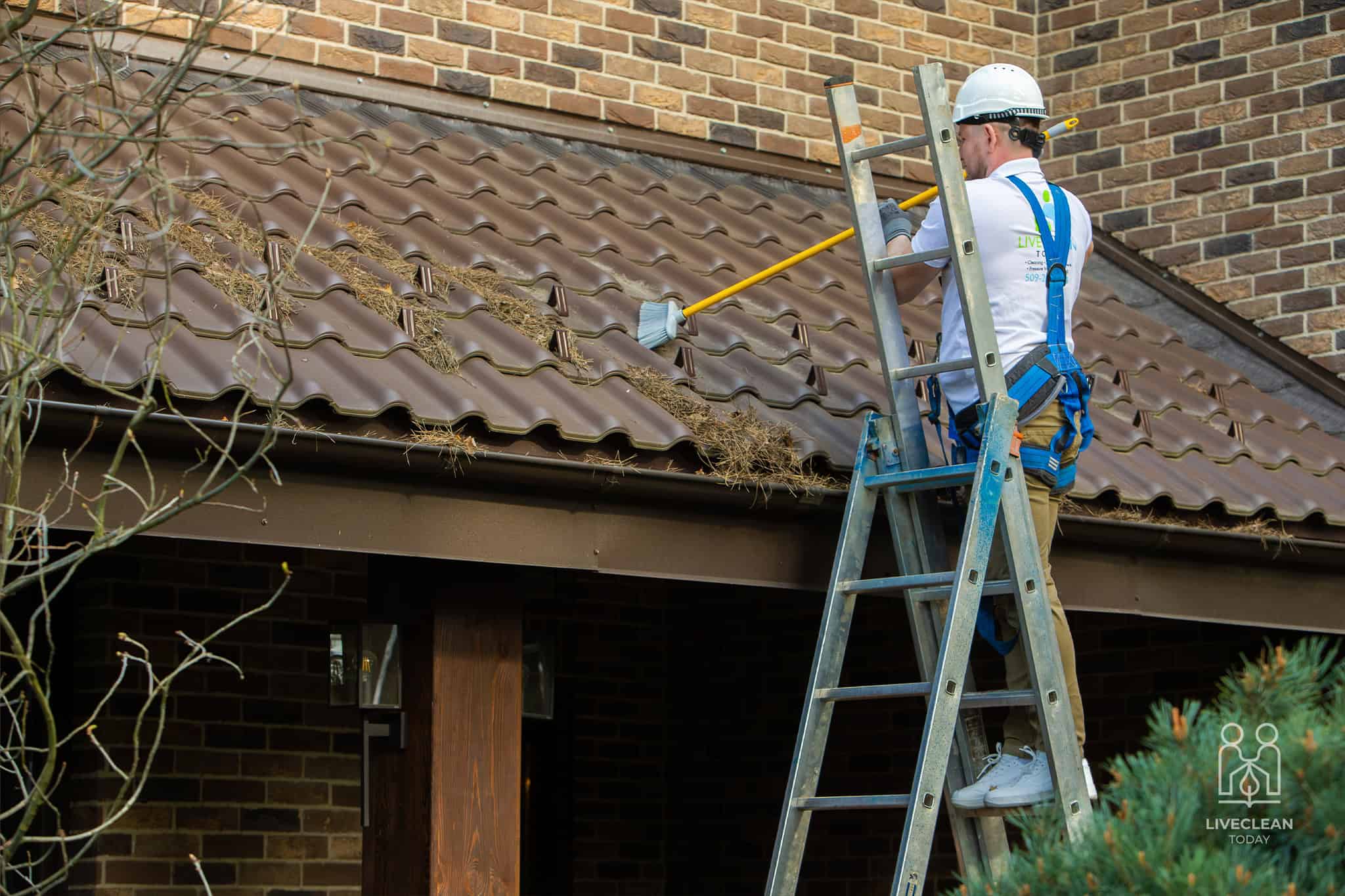 Professional Roof Cleaning Service in Spokane, WA