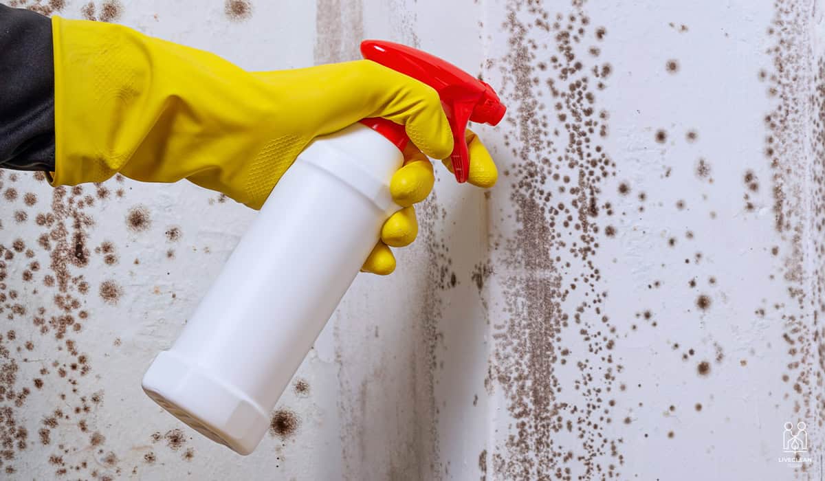 Remove Mildew From Walls