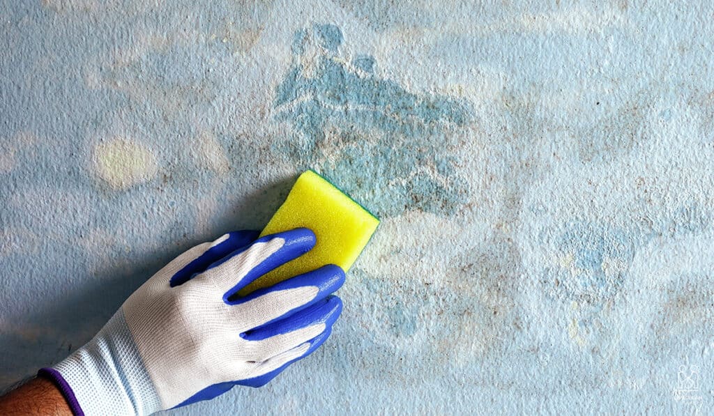 How to Clean Walls Before Painting A StepbyStep Guide Live Clean Today