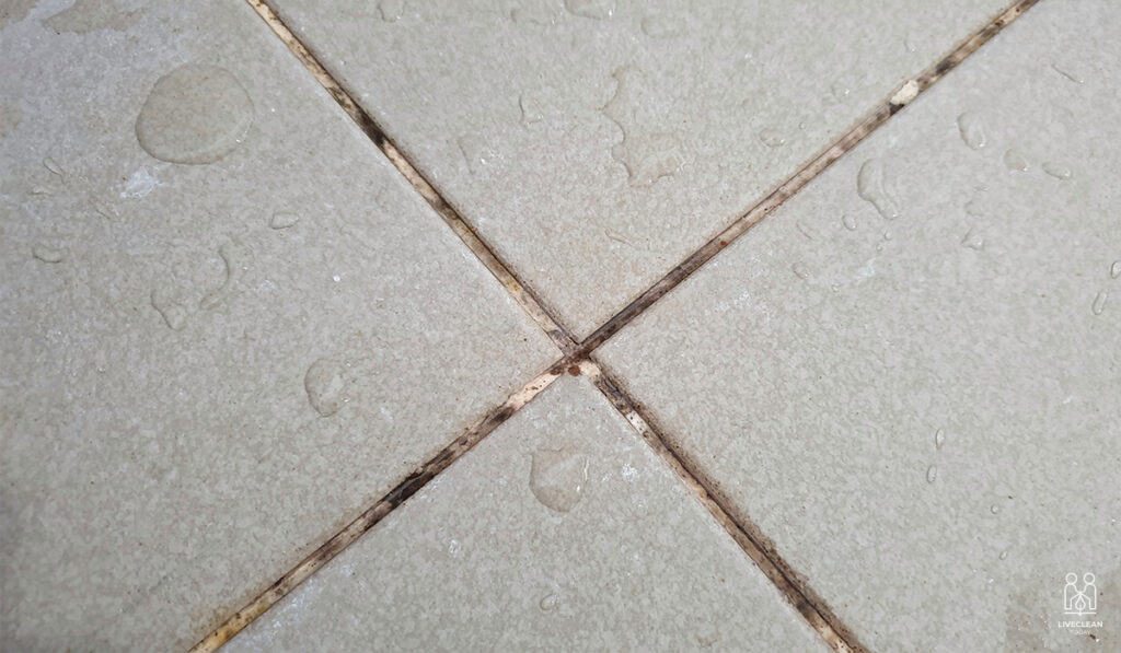 How to Clean Grout on Tile Floors Live Clean Today