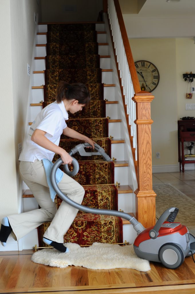 Types of Carpets We Service